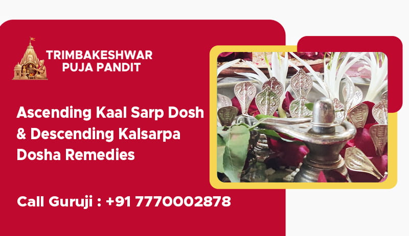 Ascending Kaal Sarp Dosh & Descending Kalsarpa Dosha Remedies