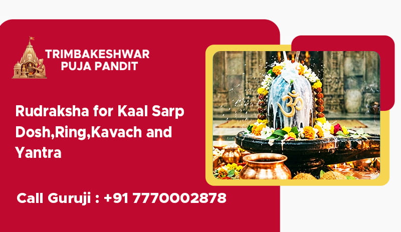 Rudraksha for Kaal Sarp Dosh, Ring, Kavach and Yantra