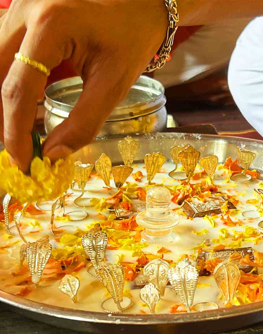 kalsarp puja trimbakeshwar 
