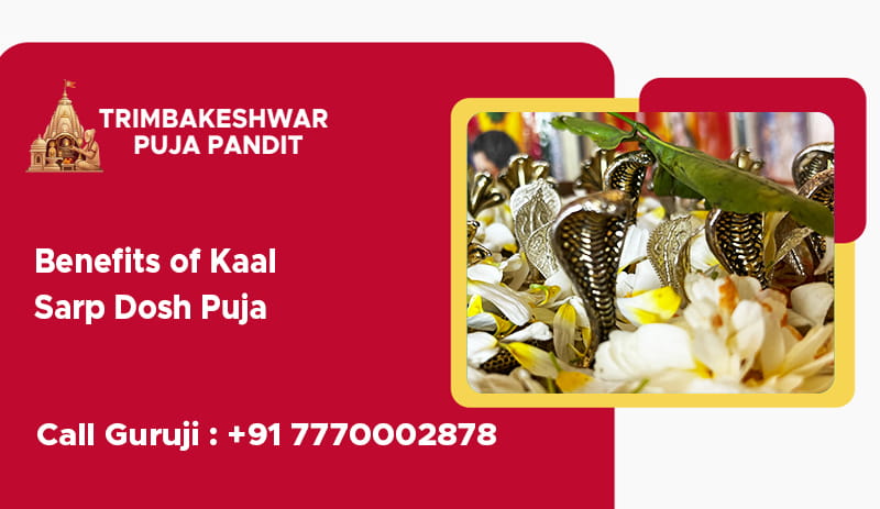Benefits of Kaal Sarp Dosh Puja